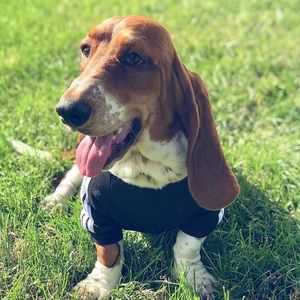 Meet your Posher, Kara